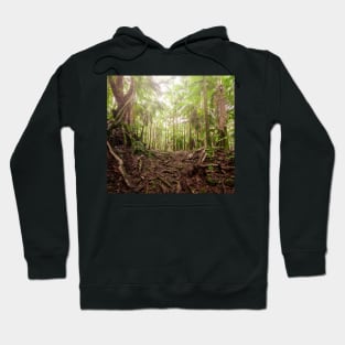 Into the Woods Hoodie